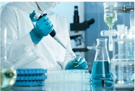 neemahkemunt.gnomio.com